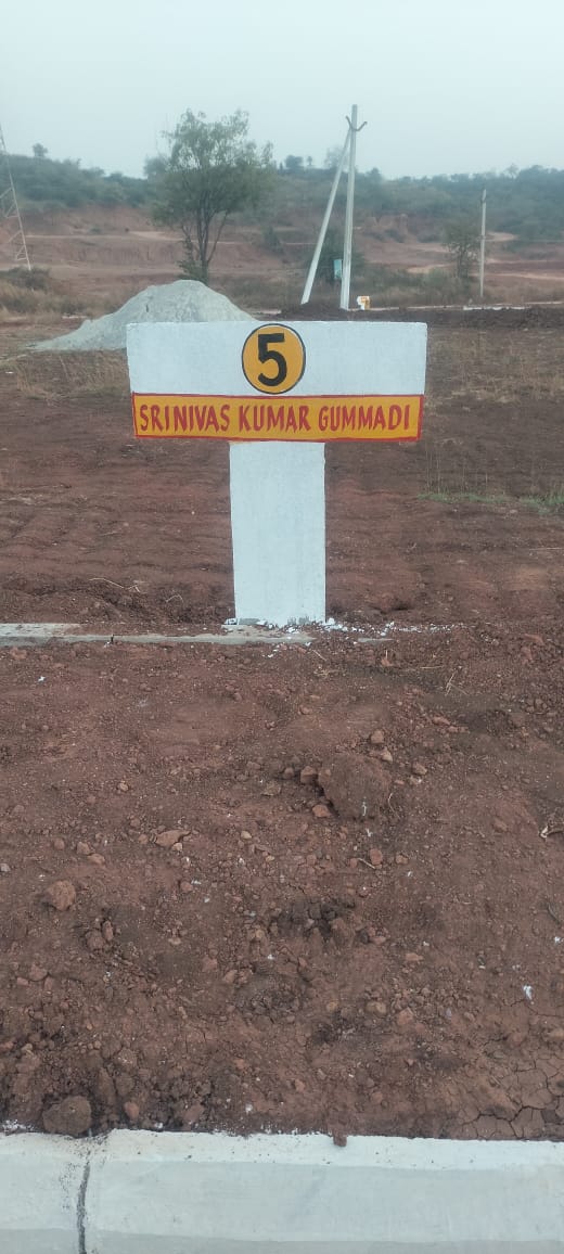 Site View 5