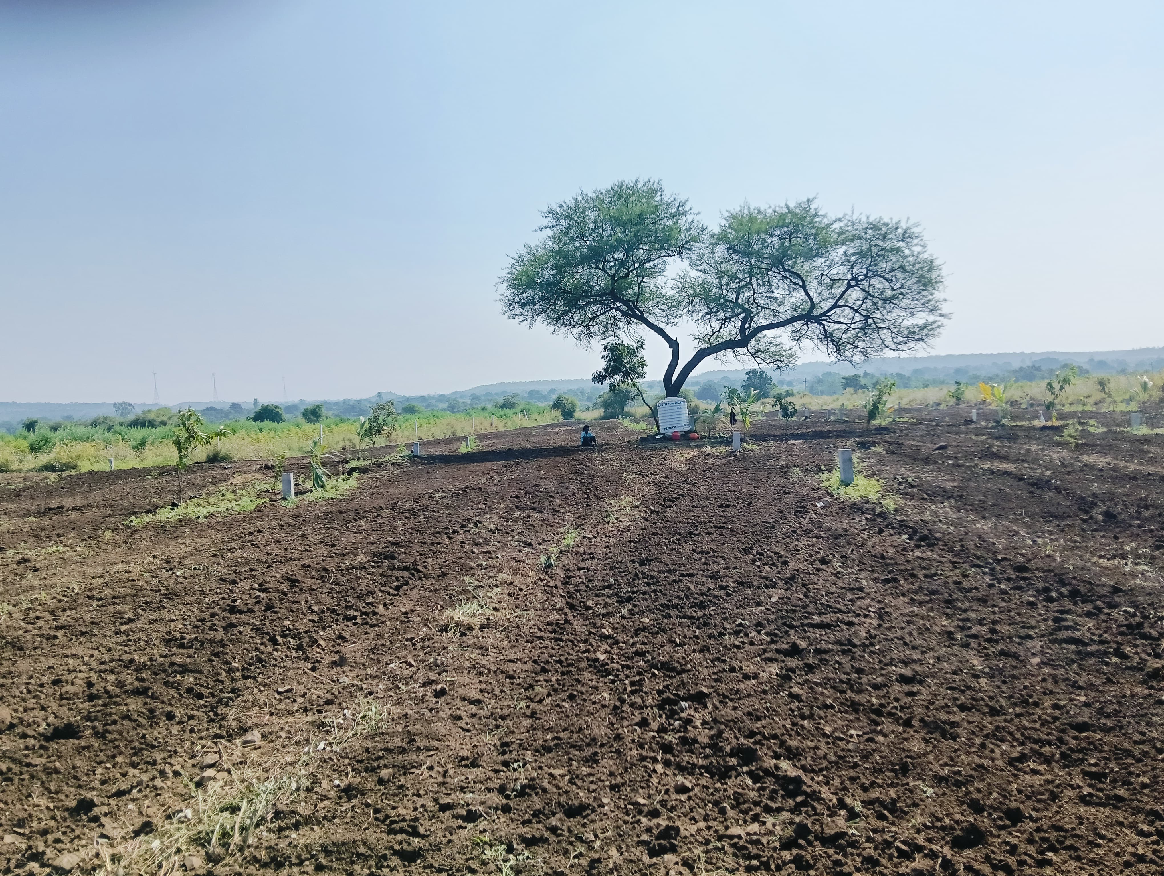 Site View 3