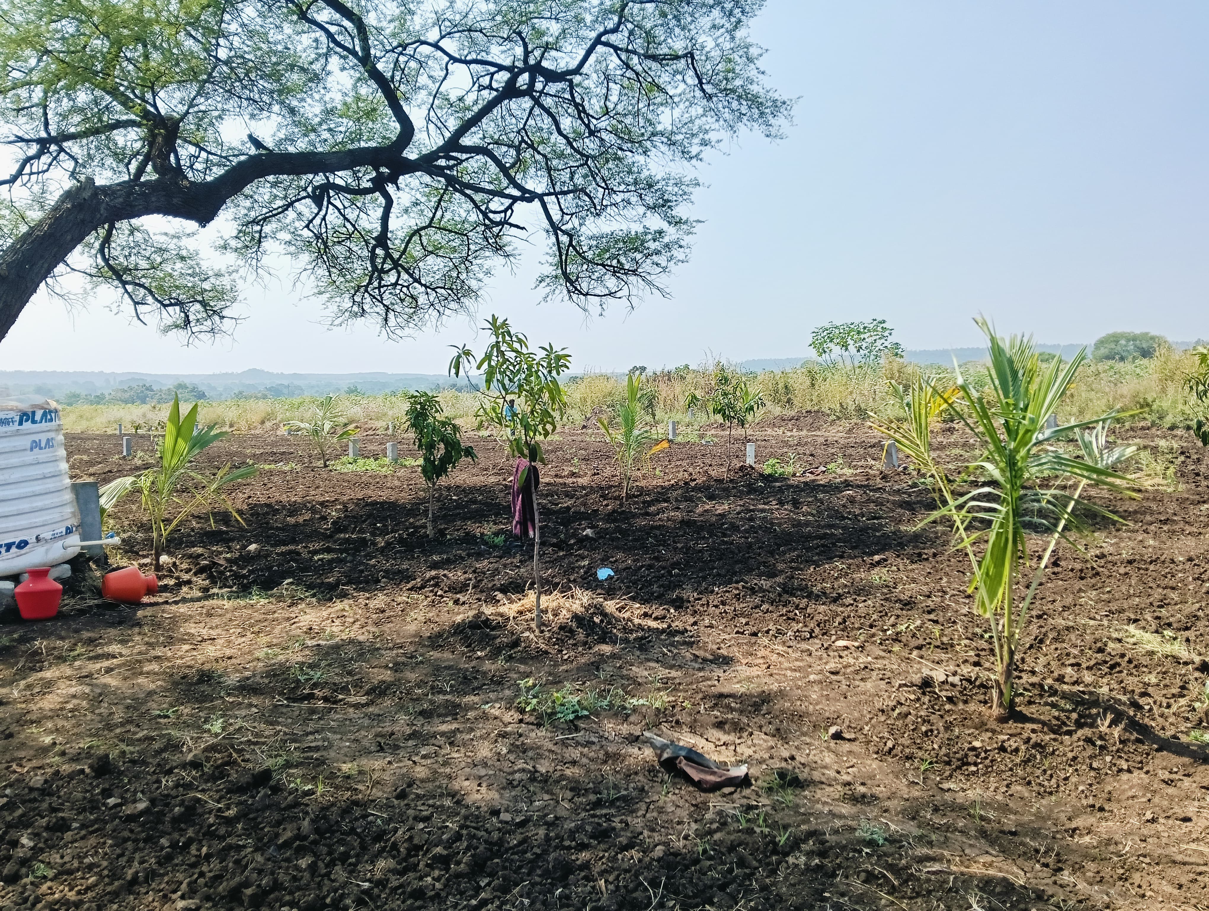 Our Ongoing Project